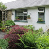 Отель Willow Cottage Donegal B&B, фото 28