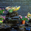 Отель Memory Garden Memory Garden Yinxiang Ancient City Panoramic Beauty Su (Lijiang Ancient City Store), фото 14