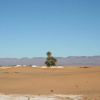 Отель Zagora Desert Camp, фото 14