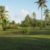 Отель Bird Island Lodge Seychelles, фото 43