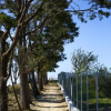 Отель Villa Ligea in Sant Agata sui Due Golfi, фото 45