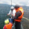 Отель Yacht Lago Titicaca, фото 18