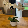 Отель Beautiful 3-bed House in Romford, фото 15
