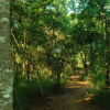 Отель Umkhumbi Lodge, фото 5