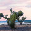 Отель Tholos Alexandra's Beachfront House, фото 3