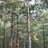 Отель Luxurious and Adapted Holiday Home at the Schoorl Dune Area, фото 10