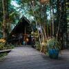 Отель Ferntree Rainforest Lodge в Кейп-Трибьюлейшн