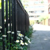 Отель Spacious 3 Bedroom Apartment in Battersea With Terrace, фото 1