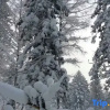 Отель Snow Valley Hongbo Inn, фото 16