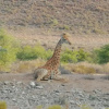 Отель Sanbona, фото 15