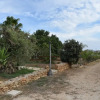 Отель Dreamy Holiday Home In Triscina Di Selinunte With Garden, фото 19