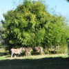 Отель Agriturismo Cascina Reciago, фото 17