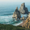 Отель The Salty Pelican, фото 16