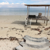 Отель Blue Wave Inn Beach Resort & Restaurant, фото 15