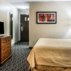 Отель Quality Inn and Suites Livonia, фото 27