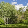 Отель Townsend Place A102 2 Bedrooms 2 Bathrooms Condo, фото 20