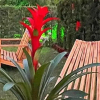 Отель Masukiye Otel, фото 9