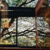Отель Synergy Treehouse (Pty) Ltd, фото 14