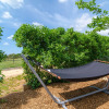 Отель SON VIGILI - Villa with private pool in Campos. Free WiFi, фото 20
