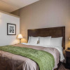 Отель Comfort Inn Surrey Hotel, фото 5