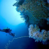 Отель Villa Mimosa, фото 36
