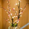 Отель Shiji Hanjue Hotel, фото 12