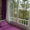 Отель Pine Hill Homestay Dalat, фото 2