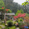 Отель Mountain and Courtyard Homestay, фото 9