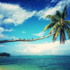 Отель Moorea Beach Lodge, фото 17