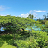 Отель Mauna Loa Shores, фото 19