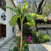 Отель Villa Olive, фото 16