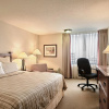 Отель Four Points by Sheraton Toronto Airport, фото 6
