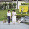 Отель Matsusaka Wanwan Paradise, фото 1