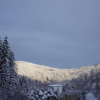 Отель Berghotel Schwarzwaldblick Triberg, фото 19