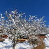 Отель Haus Moosbrunn, фото 3