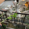 Отель Xu Sheng praised Homestay, фото 37