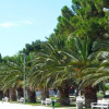 Отель Apartments Frano, фото 3