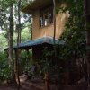 Отель Kandy Eco Lodges, фото 8