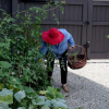 Отель Stone Terrace Bed & Breakfast, фото 19