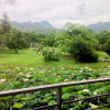 Отель Brook View Resort, фото 4