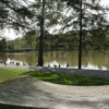 Отель The Twin Lakes Lodge, фото 14