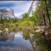Отель Yosemite Wonderland Chalet, фото 27