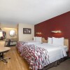 Отель Red Roof Inn Buffalo - Niagara Airport, фото 7