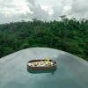 Отель Romantic Bubble Dome Ubud, фото 5