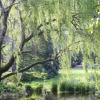 Отель Waterland Lodge, фото 31