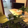 Отель Guiyang Momo Youth Hostel, фото 6