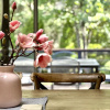 Отель Westwood Lodge Apartments, фото 41
