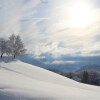 Отель Berggasthof Linde, фото 19