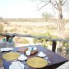 Отель Simbambili Game Lodge, фото 9