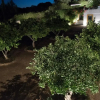 Отель Quinta Da Espada, фото 9